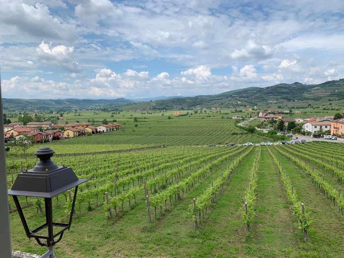Soave House Alle Vigne-2-Luxury Stay Экстерьер фото